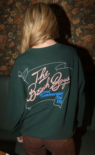daydreamer: the beach boys silver anniversary bf crew