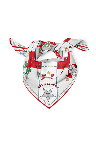 texas tech scarf