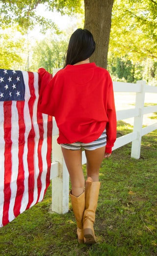 charlie southern: usa flag mockneck