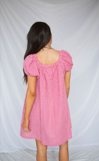 picnic date gingham mini dress