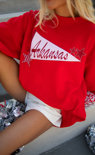 charlie southern: arkansas pennant mock neck