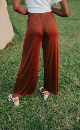 slow down pants - brown