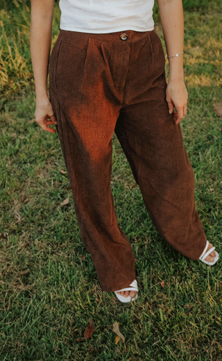 pick up lines pant - brown